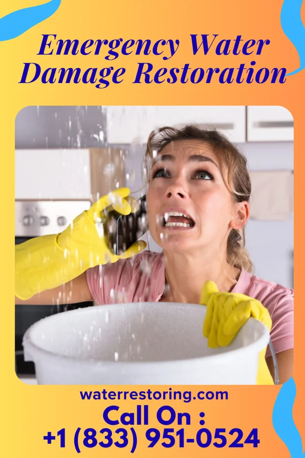 Emergency Water Damage Restoration in Charlottesville, VA