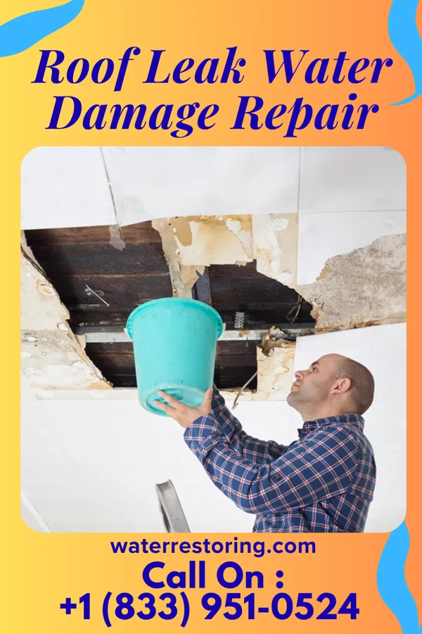 Roof Leak Water Damage Repair in Charlottesville, VA
