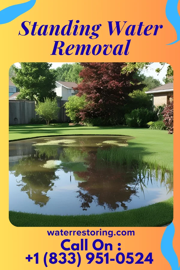 Standing Water Removal in Charlottesville, VA